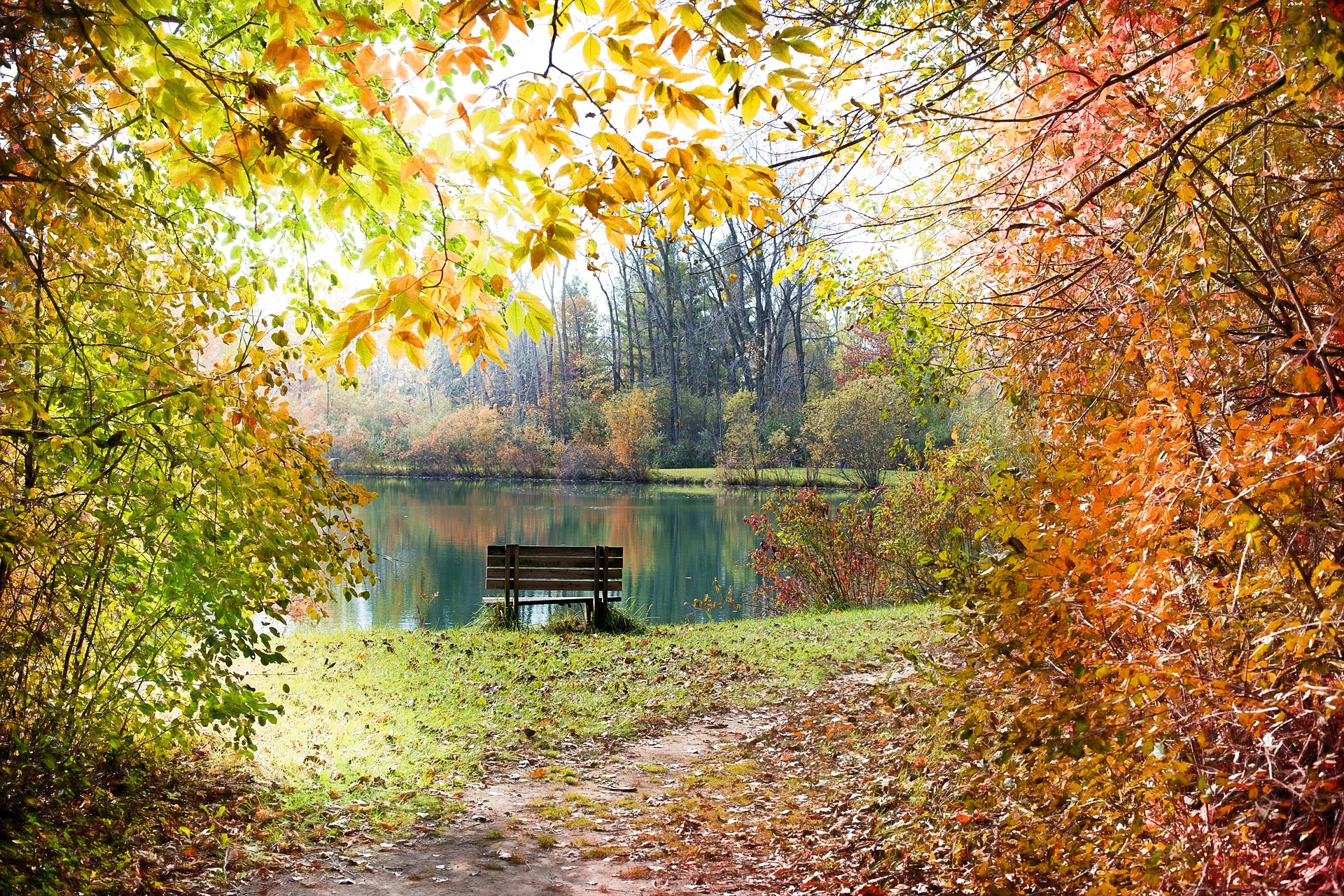 amazing-autumn-fall-leaves