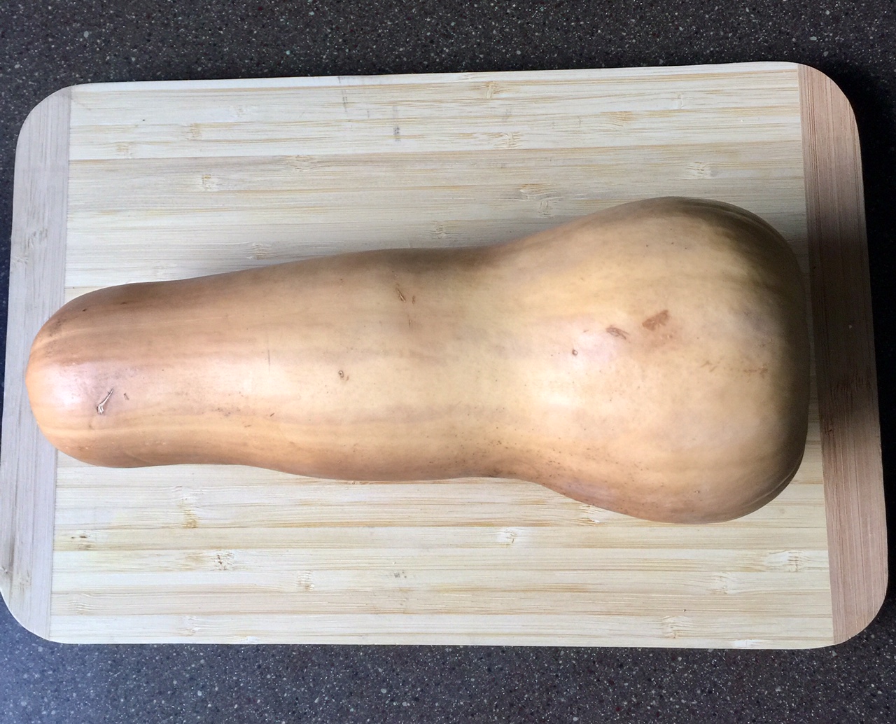 butternut-squash-whole-long-neck