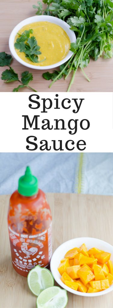 Spicy Mango Sauce