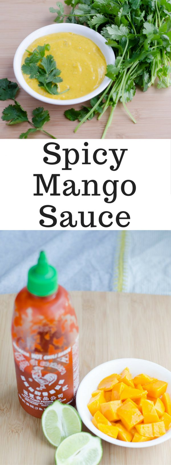 Spicy Mango Sauce - Hello Fun Seekers