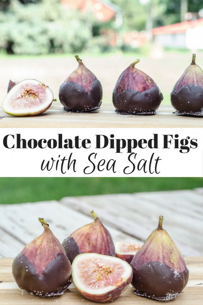 Dark Chocolate Dipped Figs with Sea Salt