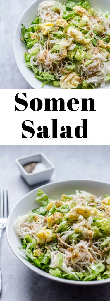 Somen Salad pin