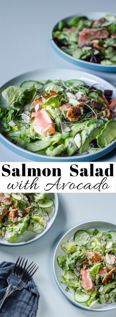 Salmon Salad with Avocado long pin