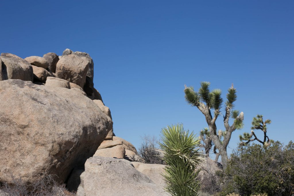 Joshua Tree outcrop of rock