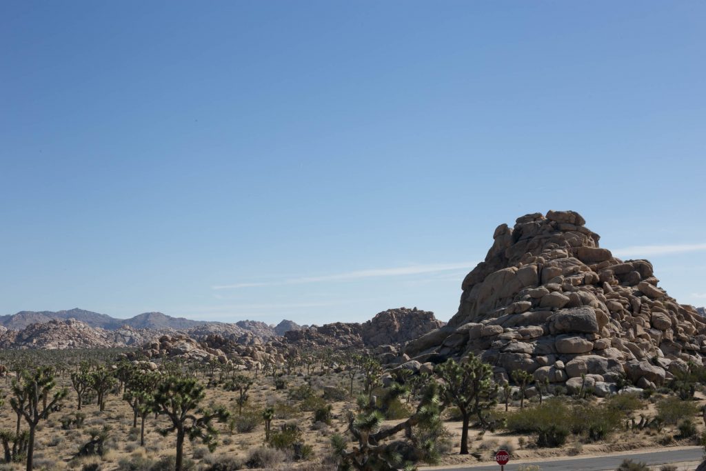 Joshua Tree National Park