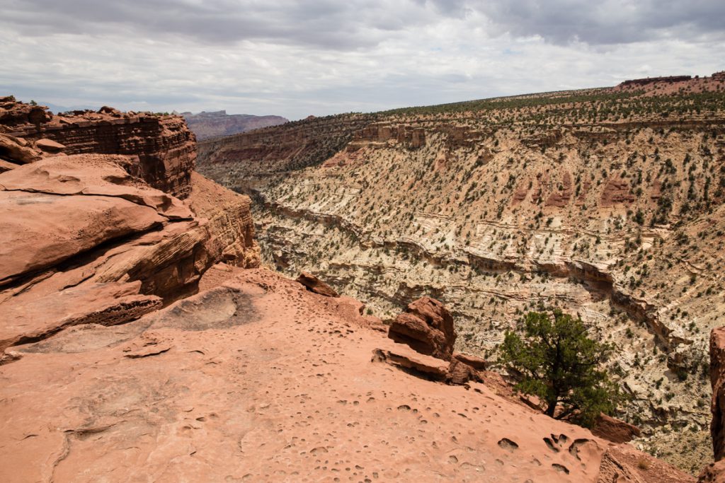 Capitol Reef National Park 2